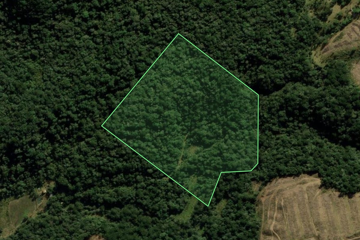 Imagem de satélite do imóvel rural em Cambará do Sul (RS), com o contorno declarado no CAR desenhado por cima.