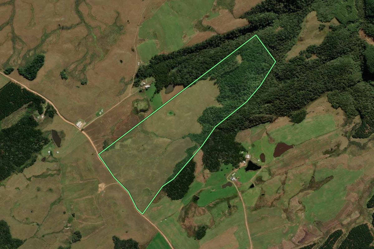 Imagem de satélite do imóvel rural em Cambará do Sul (RS), com o contorno declarado no CAR desenhado por cima.