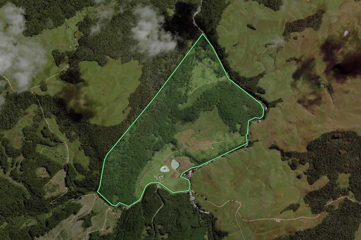 Imagem de satélite do imóvel rural em Cambará do Sul (RS), com o contorno declarado no CAR desenhado por cima.