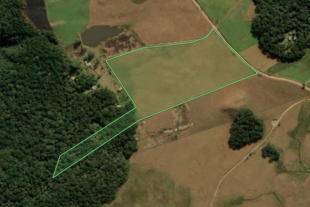 Imagem de satélite do imóvel rural em Cambará do Sul (RS), com o contorno declarado no CAR desenhado por cima.