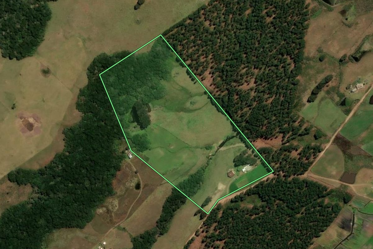 Imagem de satélite do imóvel rural em Cambará do Sul (RS), com o contorno declarado no CAR desenhado por cima.