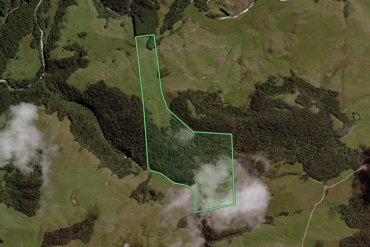 Imagem de satélite do imóvel rural em Cambará do Sul (RS), com o contorno declarado no CAR desenhado por cima.
