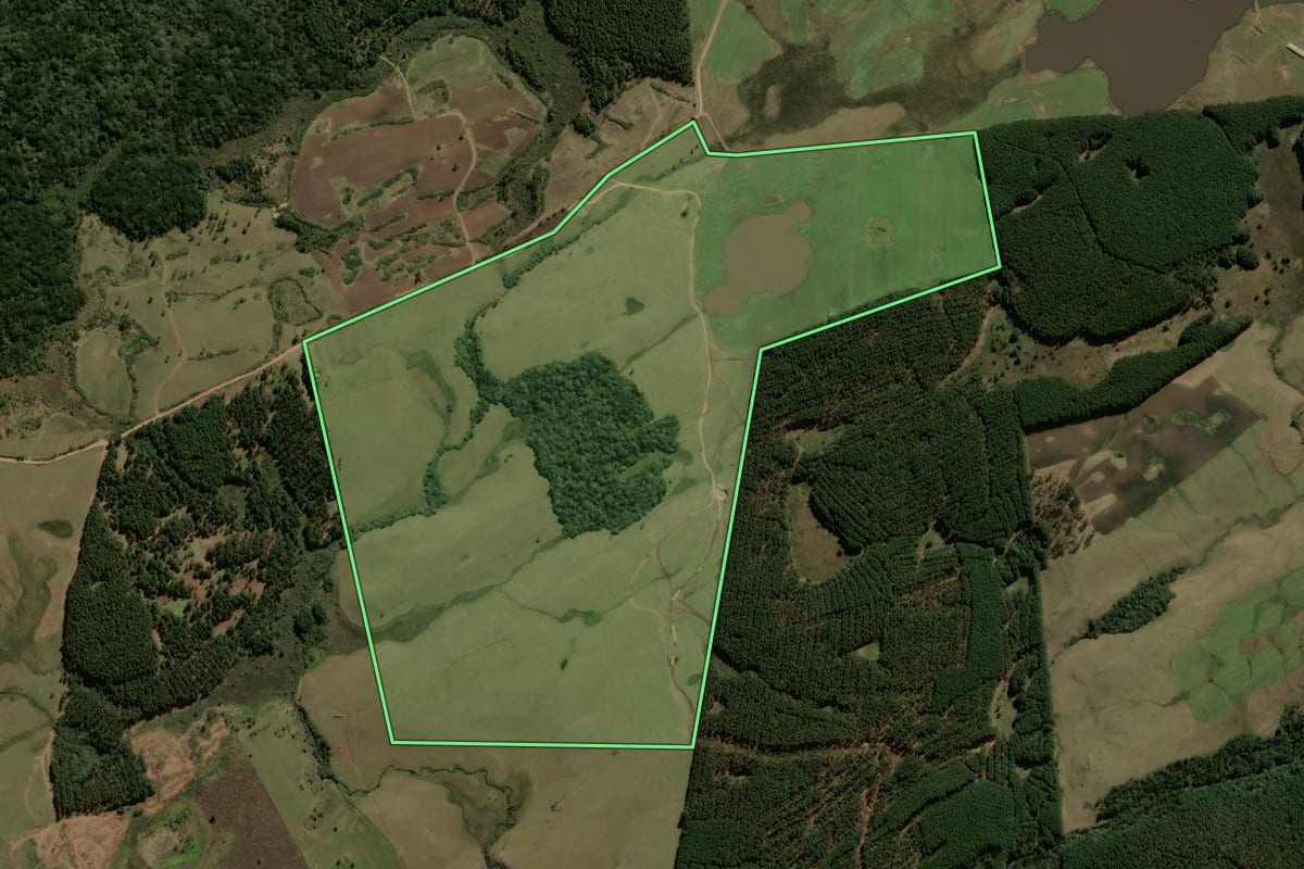 Imagem de satélite do imóvel rural em Cambará do Sul (RS), com o contorno declarado no CAR desenhado por cima.