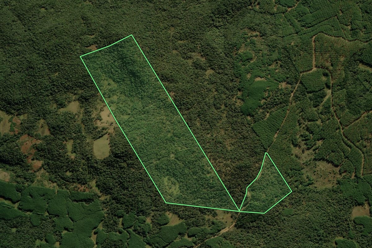 Imagem de satélite do imóvel rural em Cambará do Sul (RS), com o contorno declarado no CAR desenhado por cima.