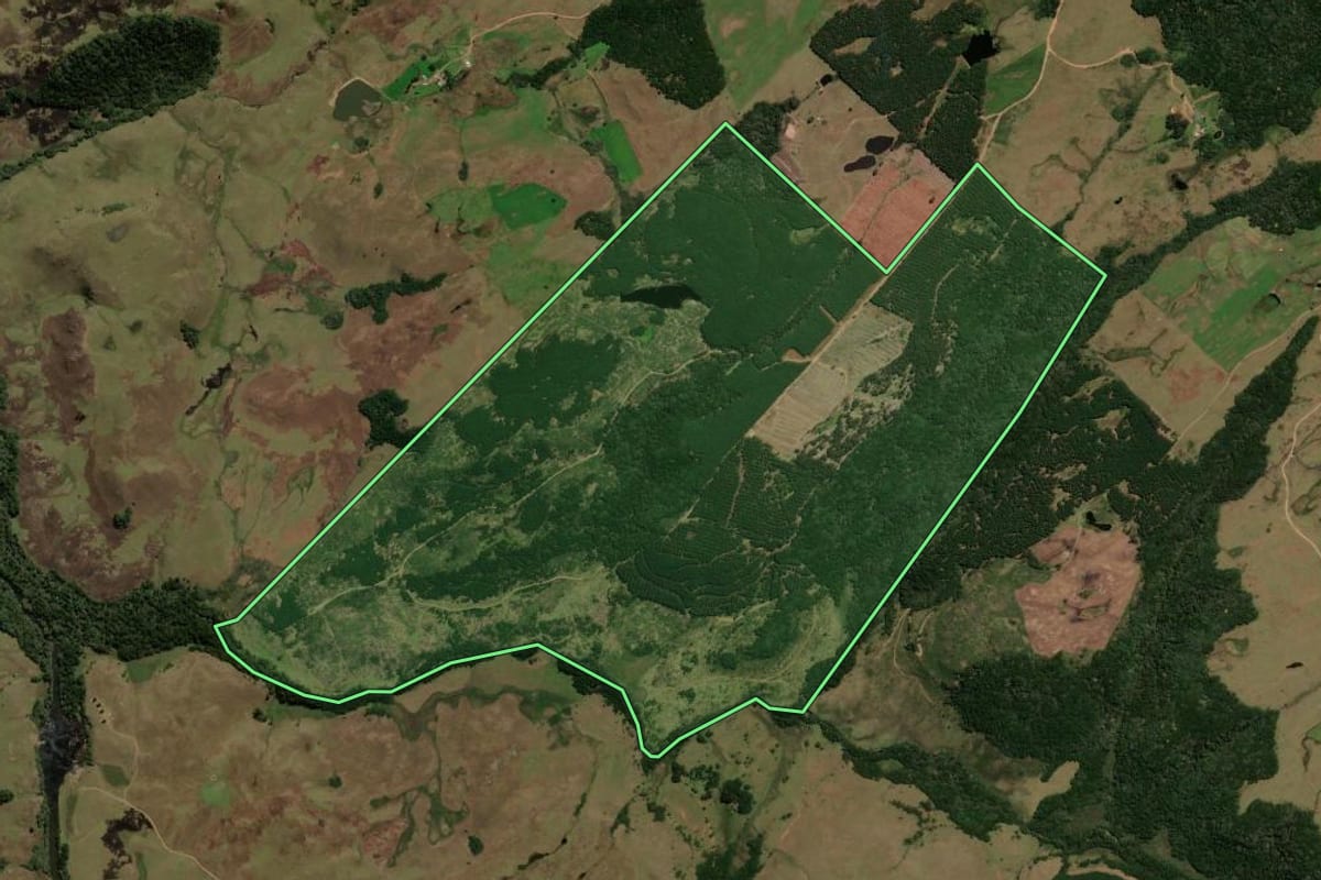 Imagem de satélite do imóvel rural em Cambará do Sul (RS), com o contorno declarado no CAR desenhado por cima.