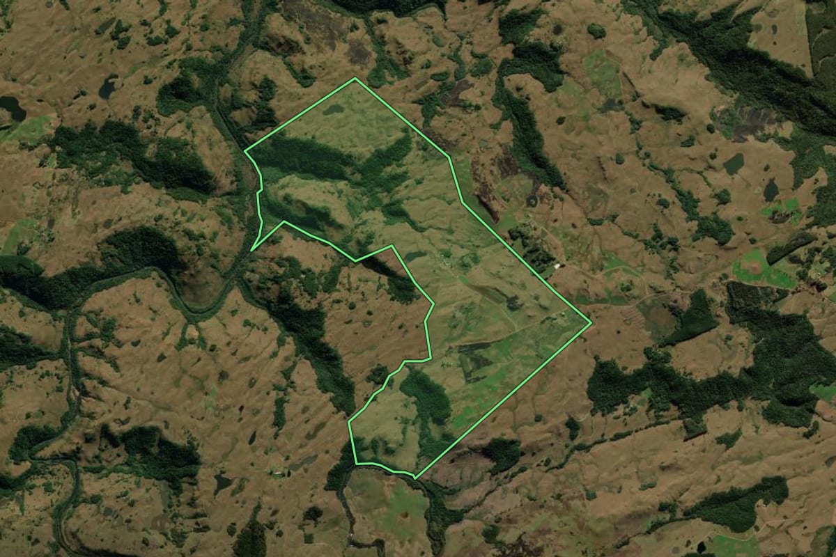 Imagem de satélite do imóvel rural em Cambará do Sul (RS), com o contorno declarado no CAR desenhado por cima.