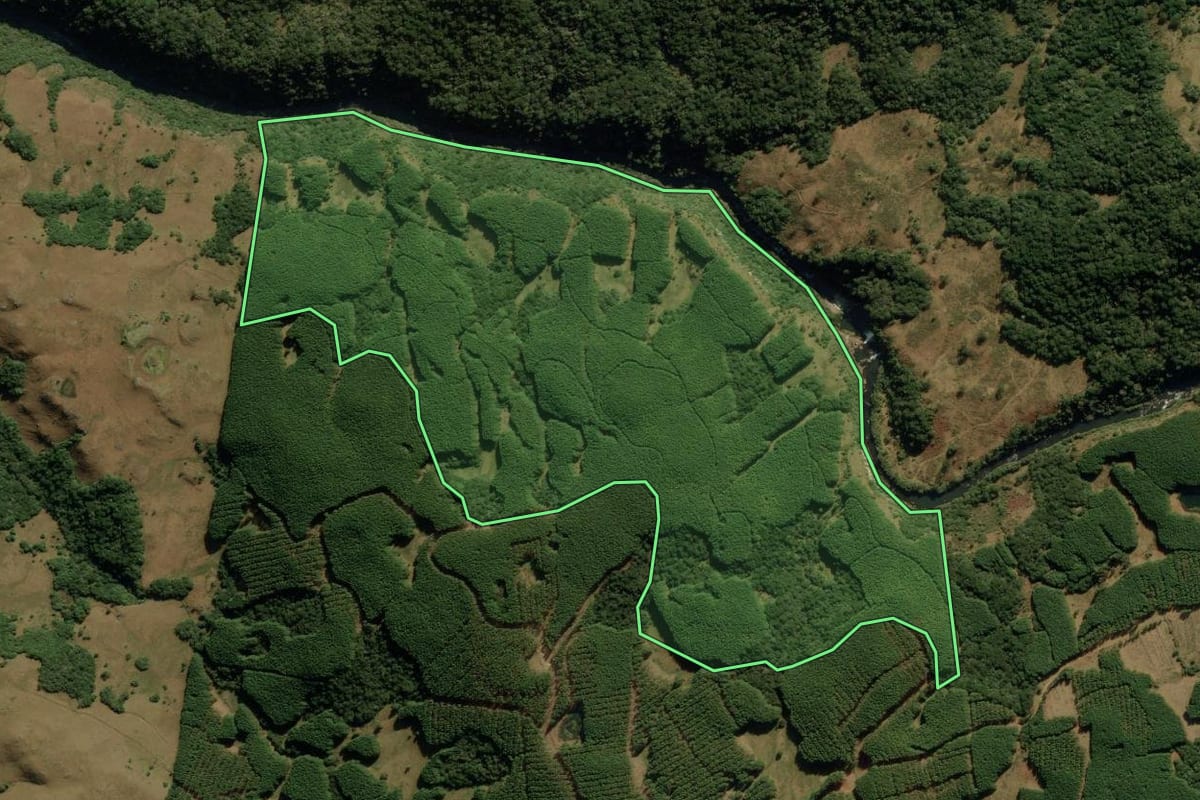 Imagem de satélite do imóvel rural em Cambará do Sul (RS), com o contorno declarado no CAR desenhado por cima.