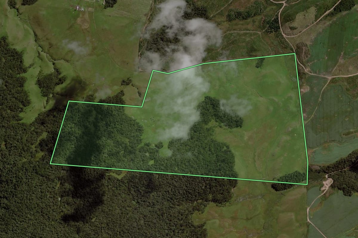 Imagem de satélite do imóvel rural em Cambará do Sul (RS), com o contorno declarado no CAR desenhado por cima.