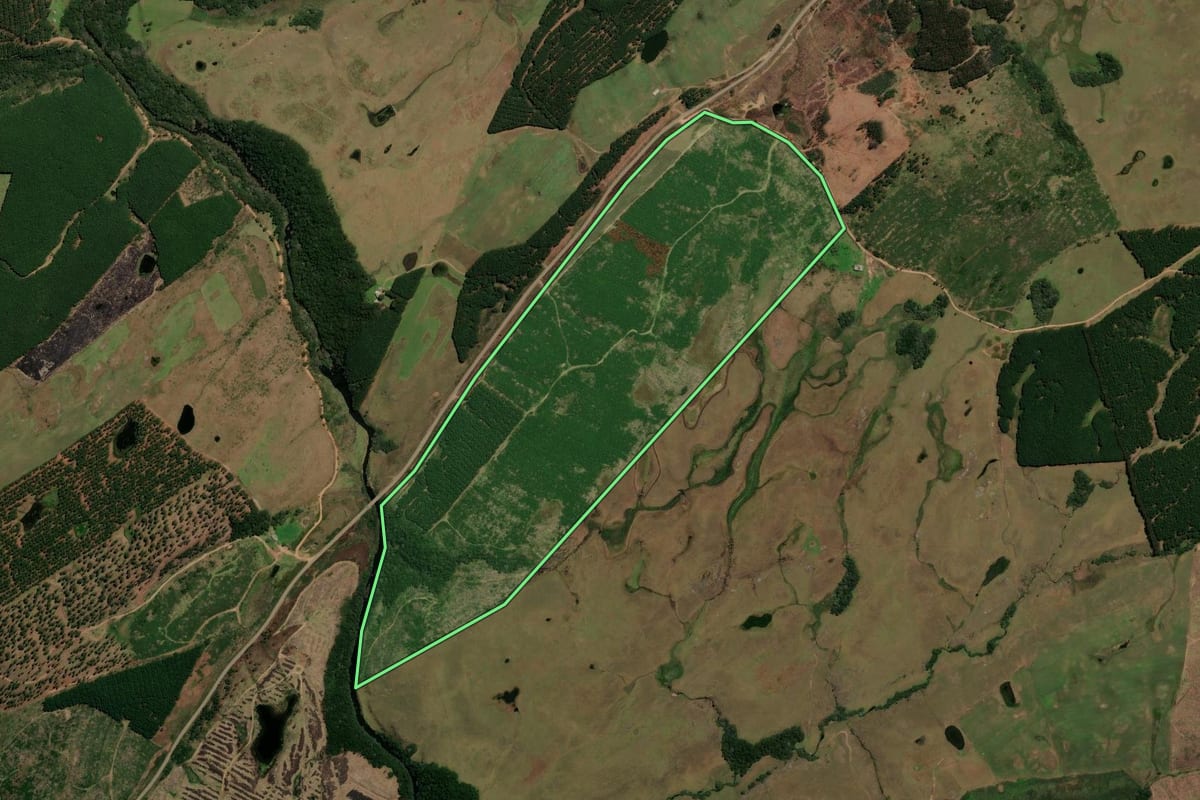 Imagem de satélite do imóvel rural em Cambará do Sul (RS), com o contorno declarado no CAR desenhado por cima.