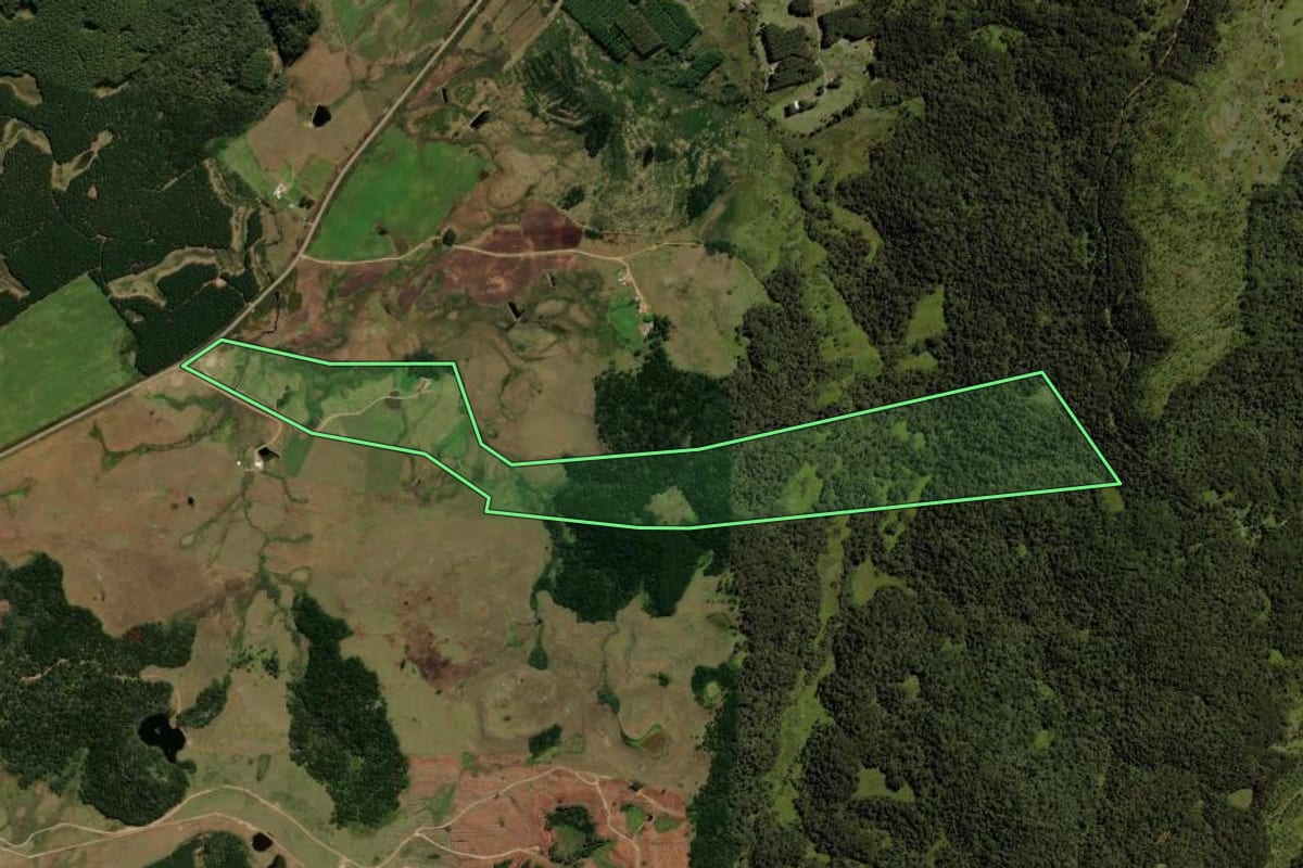 Imagem de satélite do imóvel rural em Cambará do Sul (RS), com o contorno declarado no CAR desenhado por cima.