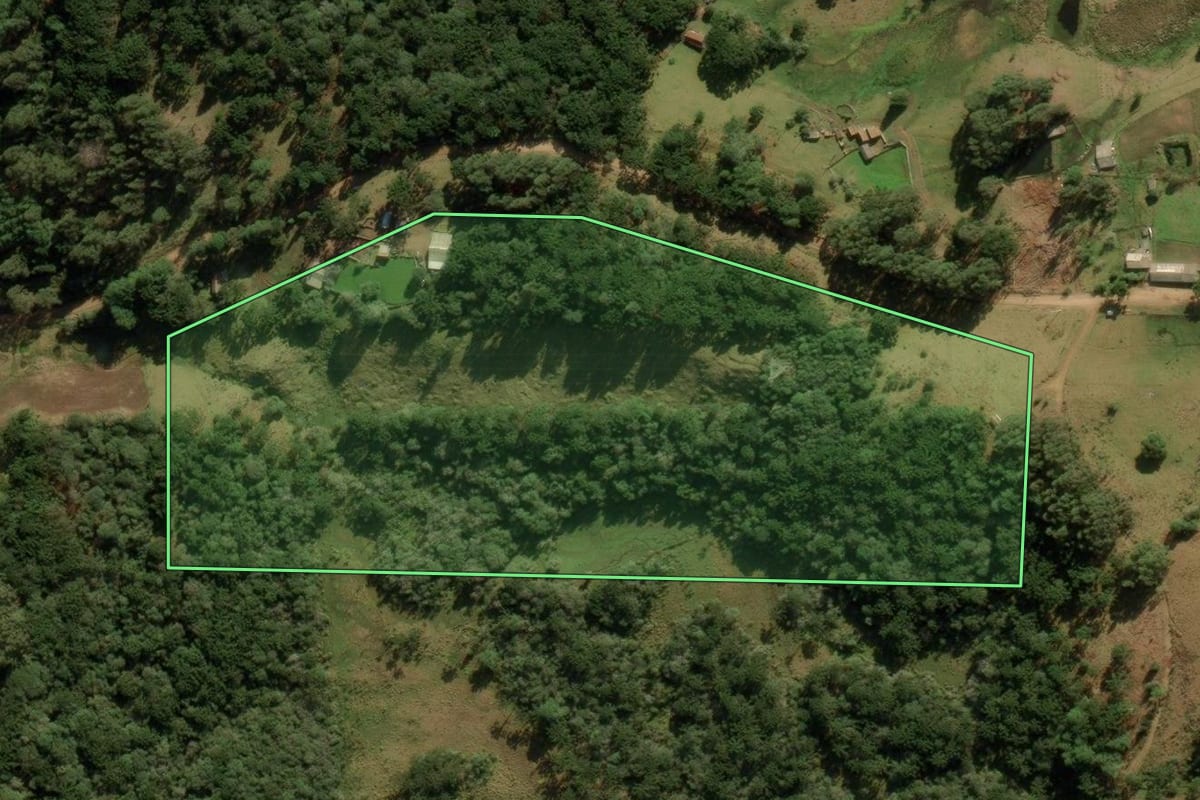 Imagem de satélite do imóvel rural em Cambará do Sul (RS), com o contorno declarado no CAR desenhado por cima.