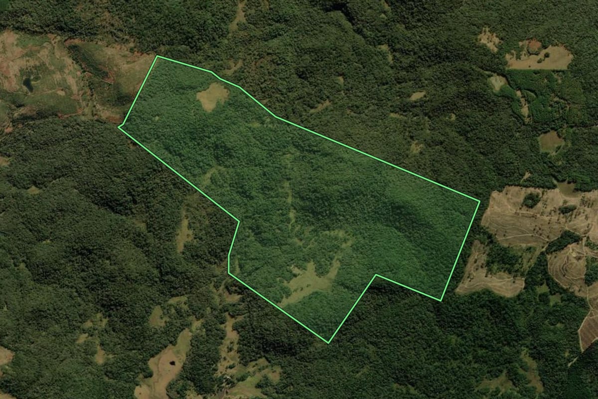 Imagem de satélite do imóvel rural em Cambará do Sul (RS), com o contorno declarado no CAR desenhado por cima.