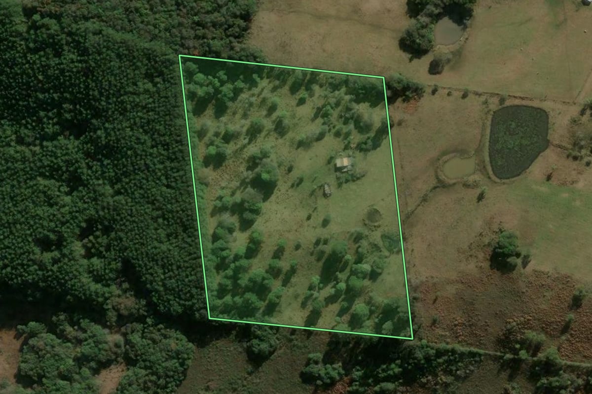 Imagem de satélite do imóvel rural em Campestre da Serra (RS), com o contorno declarado no CAR desenhado por cima.