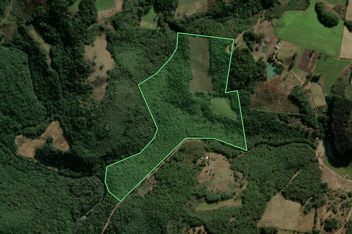 Imagem de satélite do imóvel rural em Campestre da Serra (RS), com o contorno declarado no CAR desenhado por cima.
