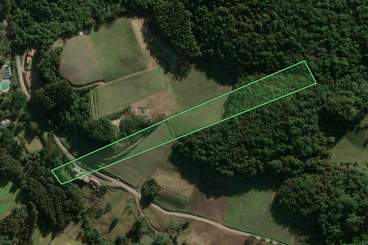 Imagem de satélite do imóvel rural em Campestre da Serra (RS), com o contorno declarado no CAR desenhado por cima.