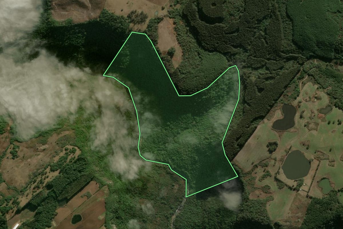 Imagem de satélite do imóvel rural em Campestre da Serra (RS), com o contorno declarado no CAR desenhado por cima.
