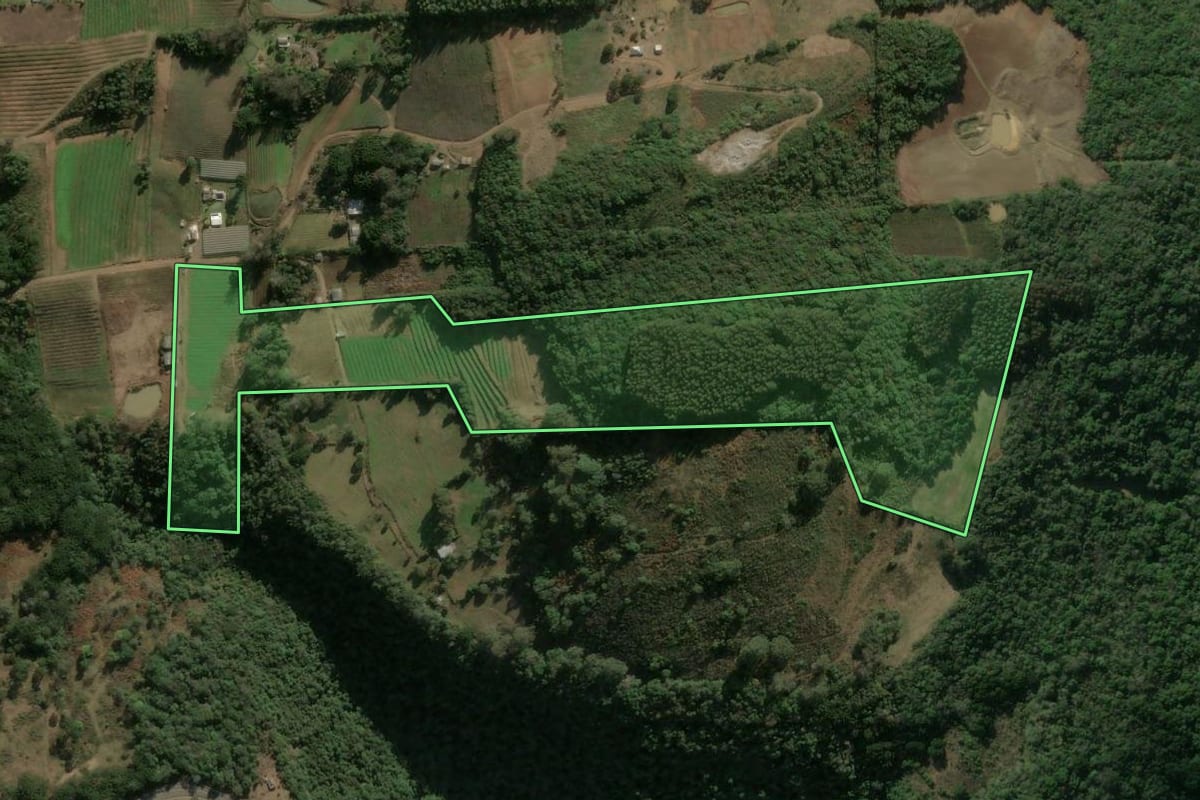 Imagem de satélite do imóvel rural em Campestre da Serra (RS), com o contorno declarado no CAR desenhado por cima.