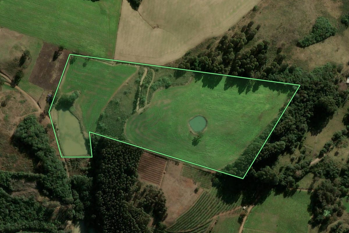 Imagem de satélite do imóvel rural em Campestre da Serra (RS), com o contorno declarado no CAR desenhado por cima.