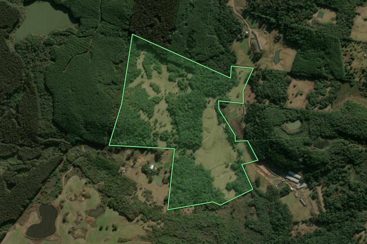 Imagem de satélite do imóvel rural em Campestre da Serra (RS), com o contorno declarado no CAR desenhado por cima.