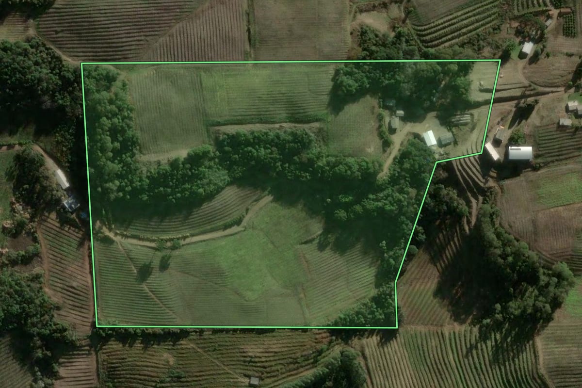 Imagem de satélite do imóvel rural em Campestre da Serra (RS), com o contorno declarado no CAR desenhado por cima.