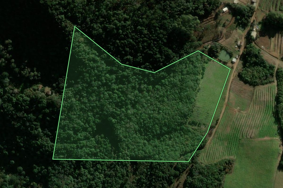 Imagem de satélite do imóvel rural em Campestre da Serra (RS), com o contorno declarado no CAR desenhado por cima.
