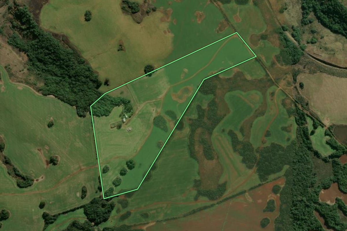Imagem de satélite do imóvel rural em Campestre da Serra (RS), com o contorno declarado no CAR desenhado por cima.