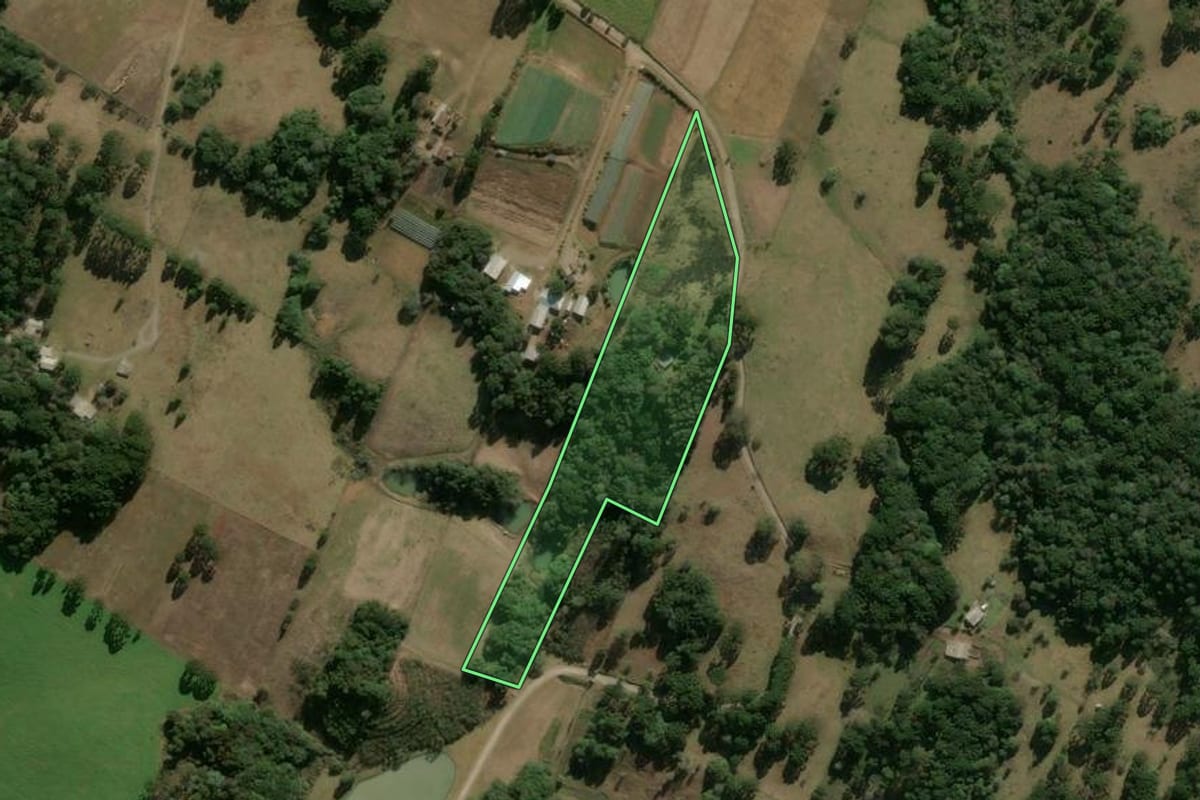 Imagem de satélite do imóvel rural em Campestre da Serra (RS), com o contorno declarado no CAR desenhado por cima.