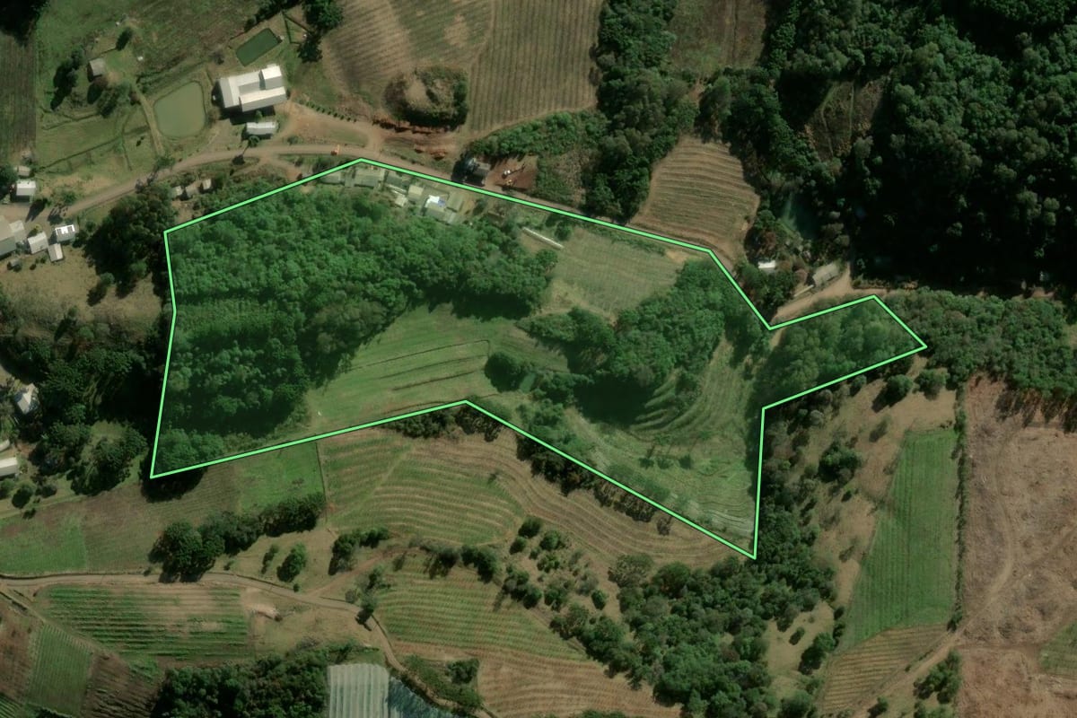 Imagem de satélite do imóvel rural em Campestre da Serra (RS), com o contorno declarado no CAR desenhado por cima.