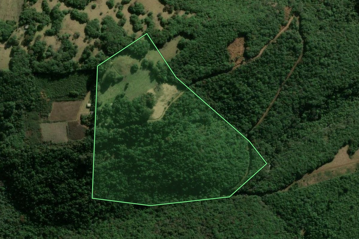 Imagem de satélite do imóvel rural em Campestre da Serra (RS), com o contorno declarado no CAR desenhado por cima.