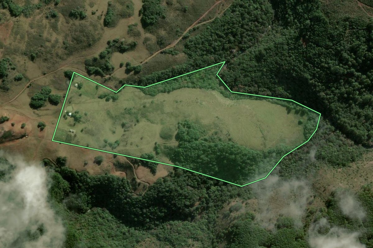 Imagem de satélite do imóvel rural em Campestre da Serra (RS), com o contorno declarado no CAR desenhado por cima.
