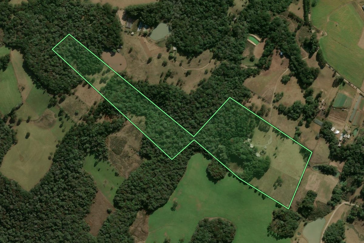 Imagem de satélite do imóvel rural em Campestre da Serra (RS), com o contorno declarado no CAR desenhado por cima.