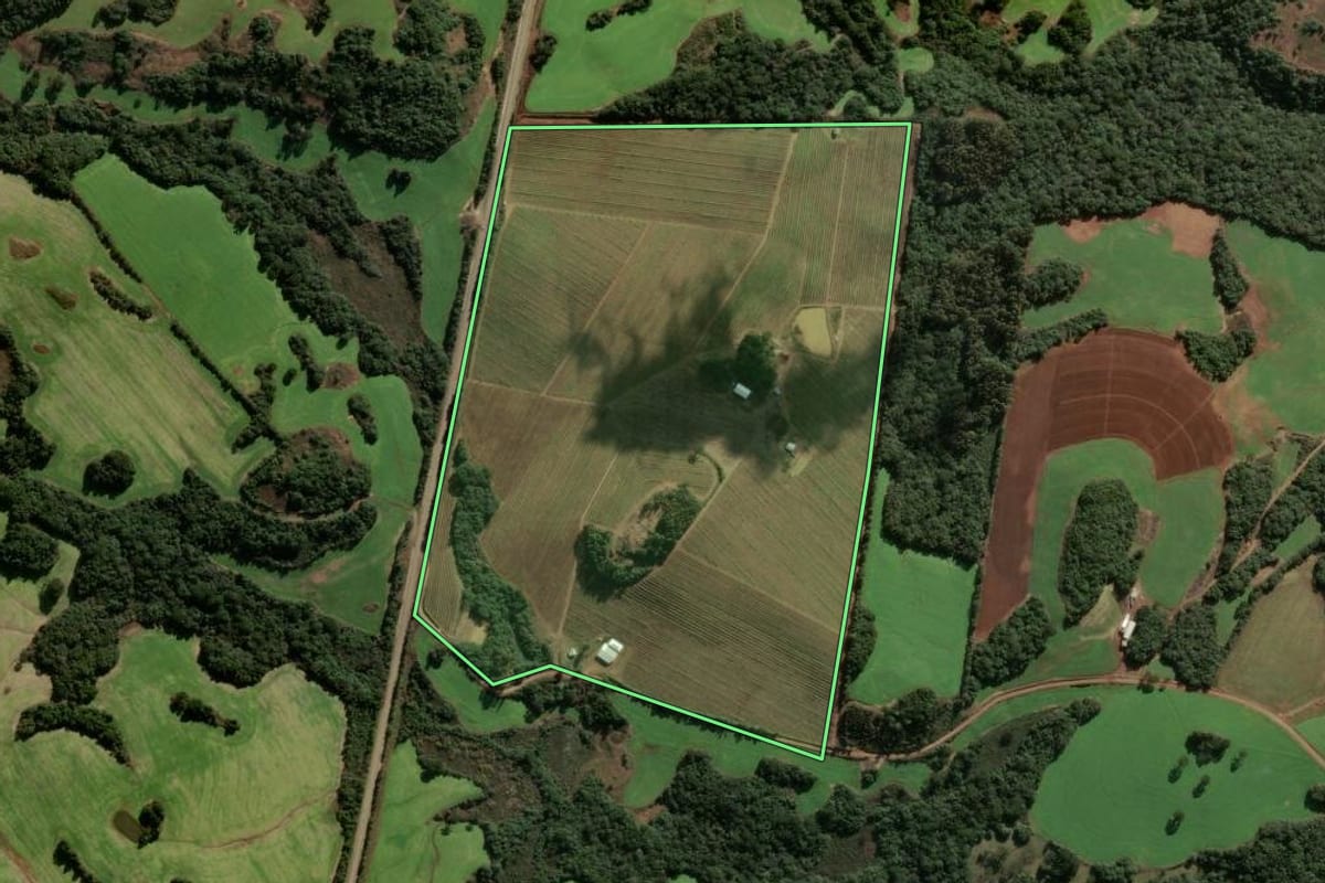 Imagem de satélite do imóvel rural em Campestre da Serra (RS), com o contorno declarado no CAR desenhado por cima.