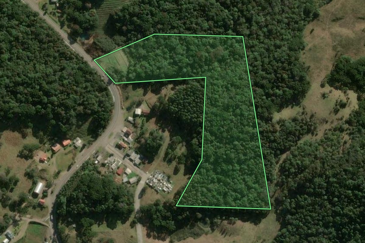 Imagem de satélite do imóvel rural em Campestre da Serra (RS), com o contorno declarado no CAR desenhado por cima.