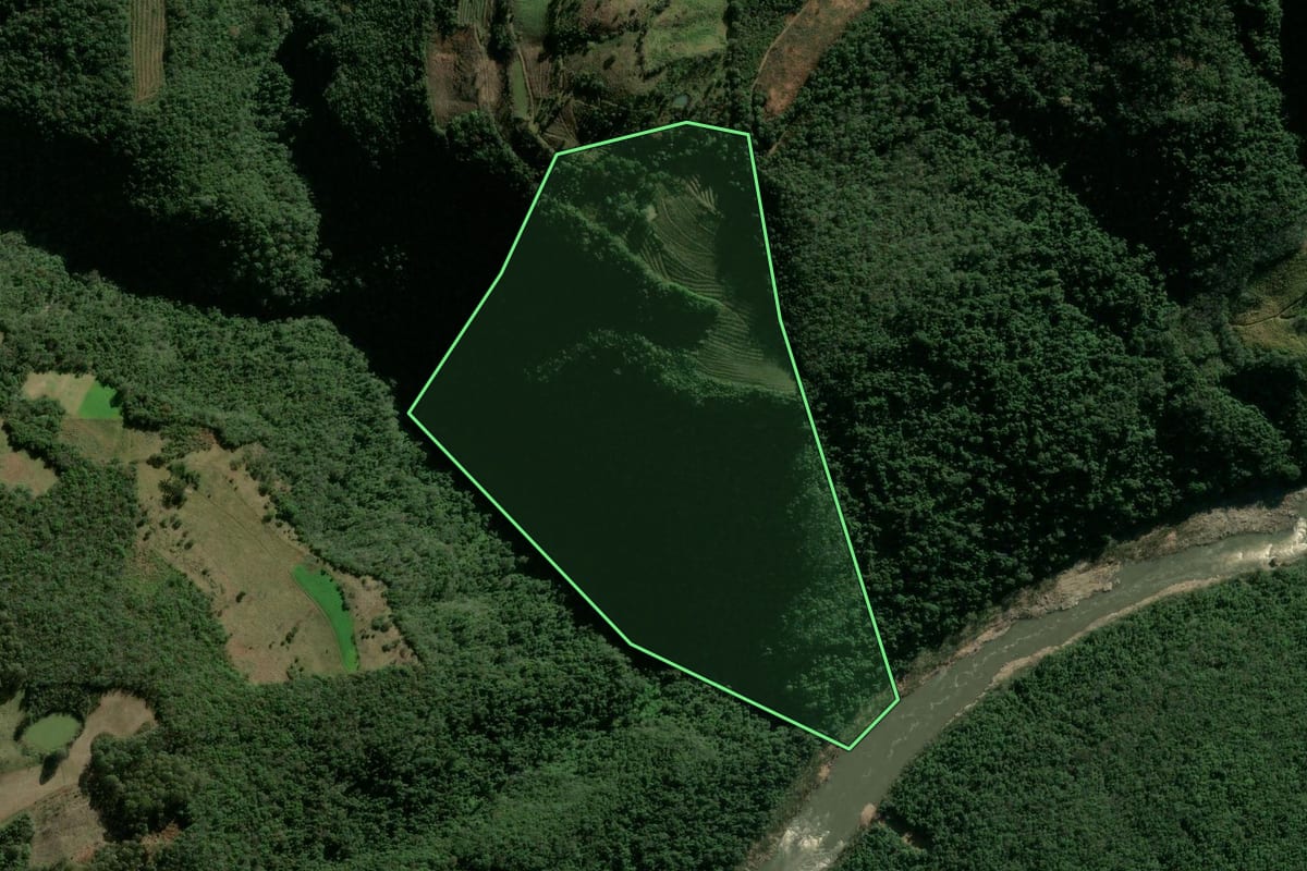 Imagem de satélite do imóvel rural em Campestre da Serra (RS), com o contorno declarado no CAR desenhado por cima.