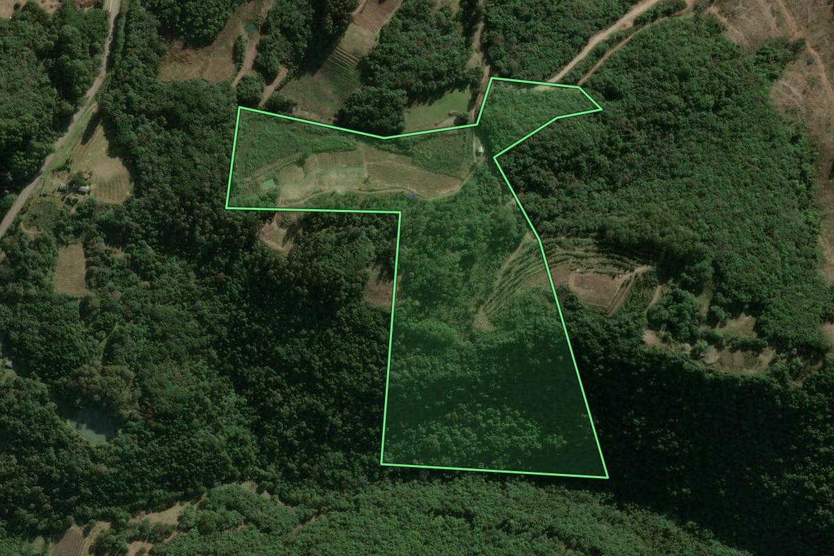 Imagem de satélite do imóvel rural em Campestre da Serra (RS), com o contorno declarado no CAR desenhado por cima.