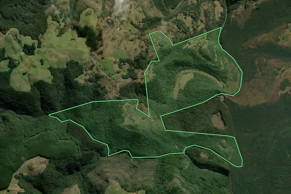 Imagem de satélite do imóvel rural em Campestre da Serra (RS), com o contorno declarado no CAR desenhado por cima.