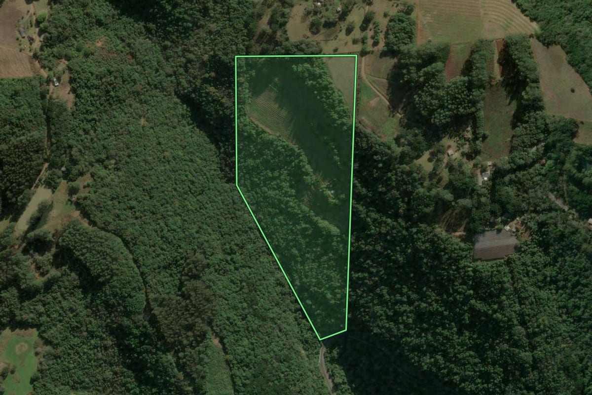 Imagem de satélite do imóvel rural em Campestre da Serra (RS), com o contorno declarado no CAR desenhado por cima.