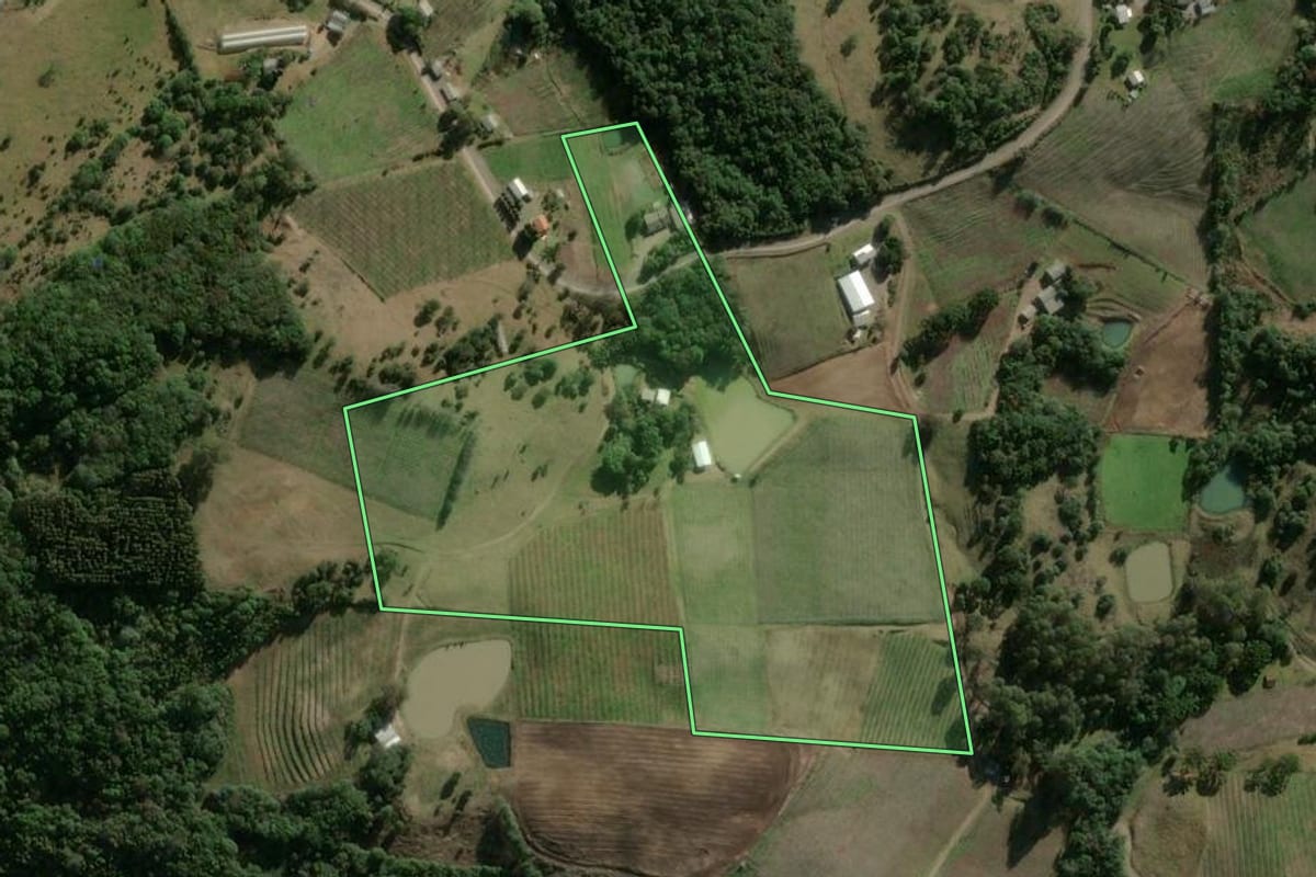 Imagem de satélite do imóvel rural em Campestre da Serra (RS), com o contorno declarado no CAR desenhado por cima.