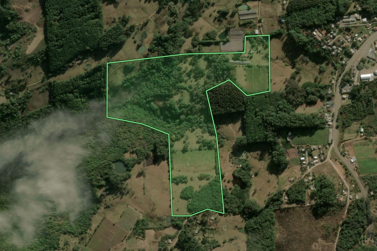 Imagem de satélite do imóvel rural em Campestre da Serra (RS), com o contorno declarado no CAR desenhado por cima.