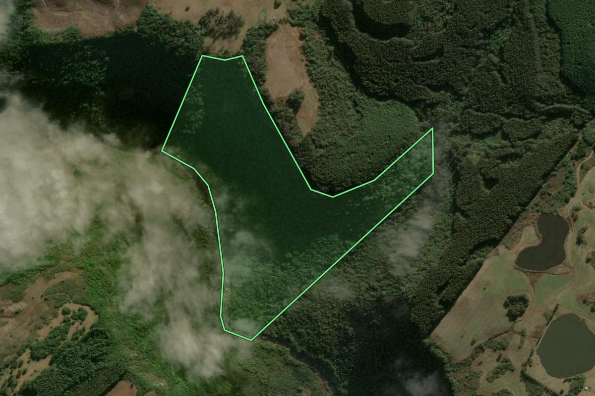Imagem de satélite do imóvel rural em Campestre da Serra (RS), com o contorno declarado no CAR desenhado por cima.