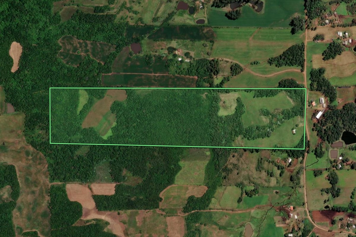 Imagem de satélite do imóvel rural em Campina das Missões (RS), com o contorno declarado no CAR desenhado por cima.