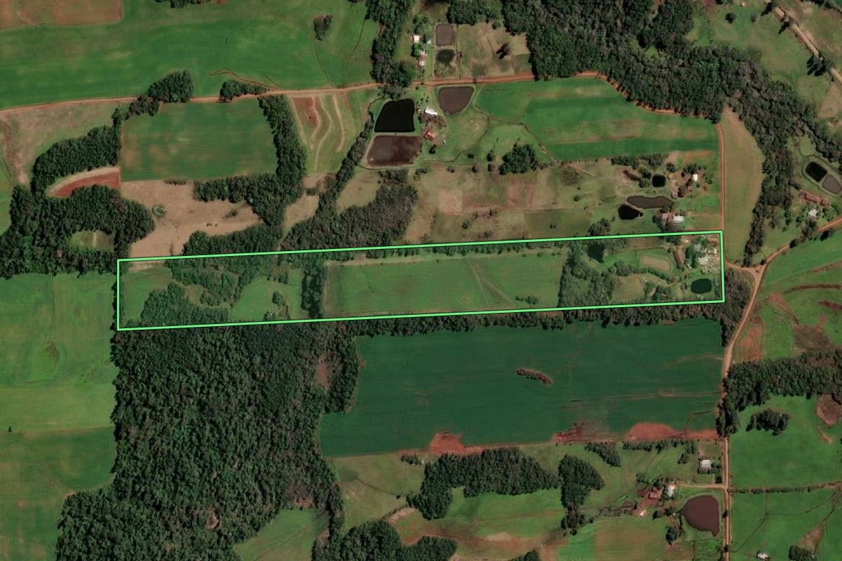 Imagem de satélite do imóvel rural em Campina das Missões (RS), com o contorno declarado no CAR desenhado por cima.