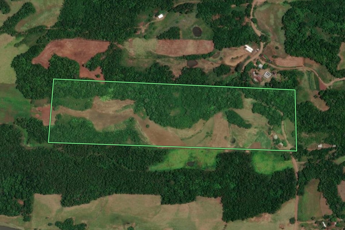 Imagem de satélite do imóvel rural em Campina das Missões (RS), com o contorno declarado no CAR desenhado por cima.