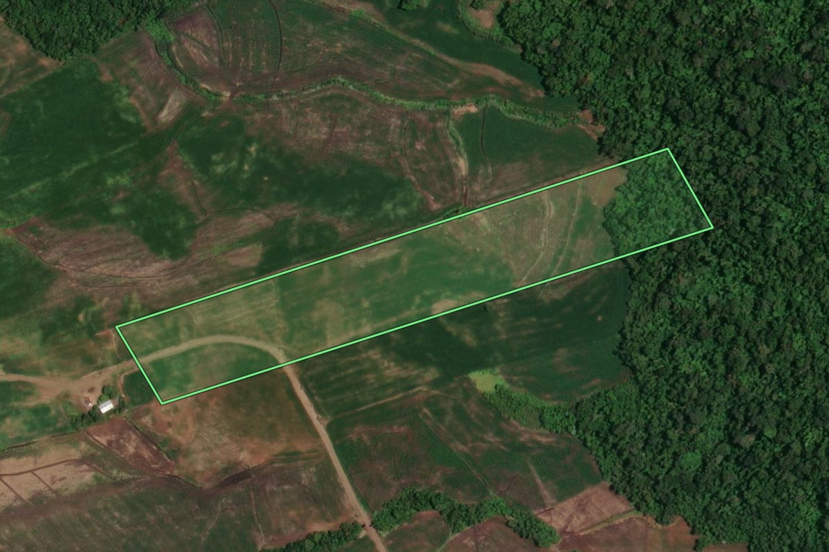 Imagem de satélite do imóvel rural em Campina das Missões (RS), com o contorno declarado no CAR desenhado por cima.