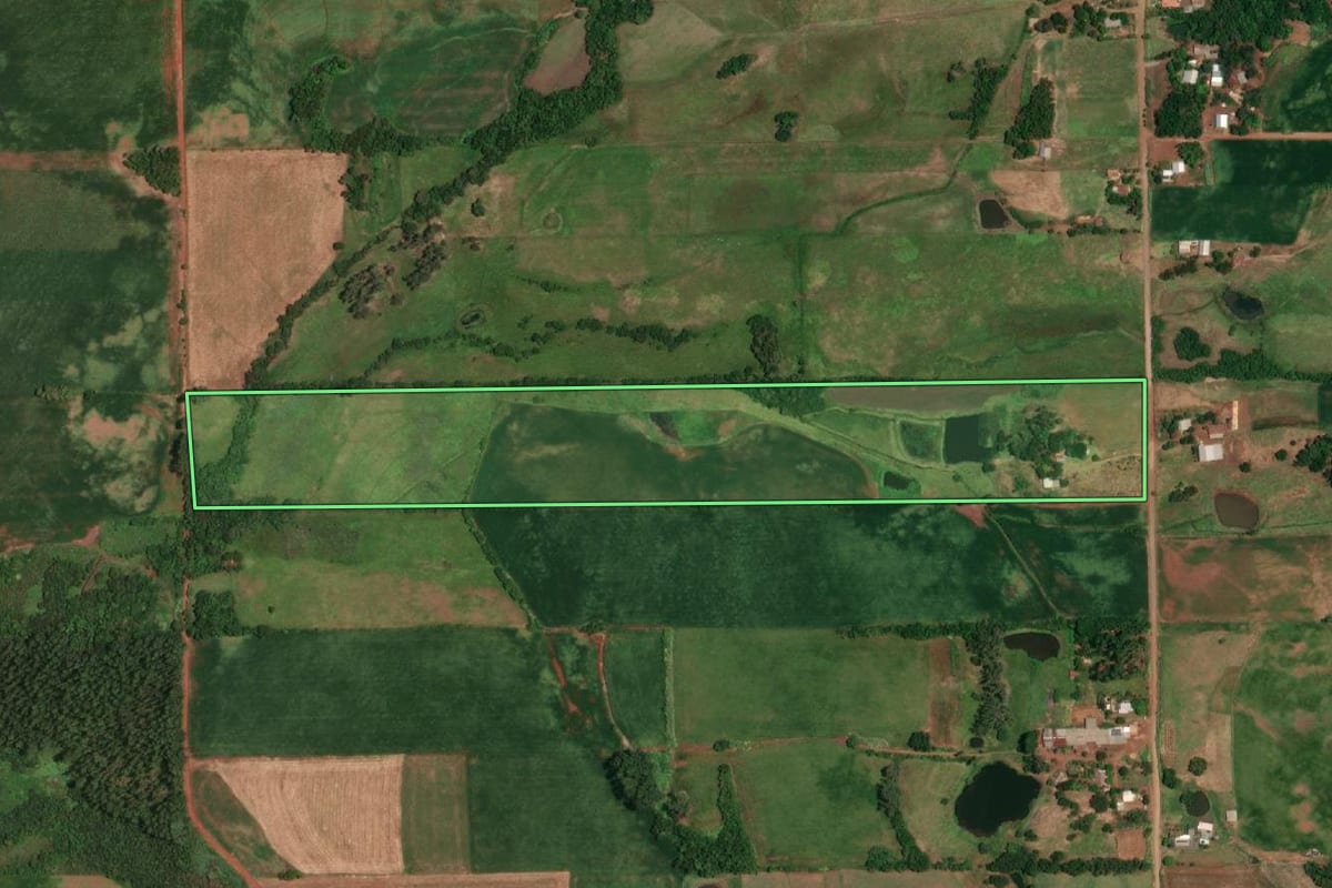 Imagem de satélite do imóvel rural em Campina das Missões (RS), com o contorno declarado no CAR desenhado por cima.