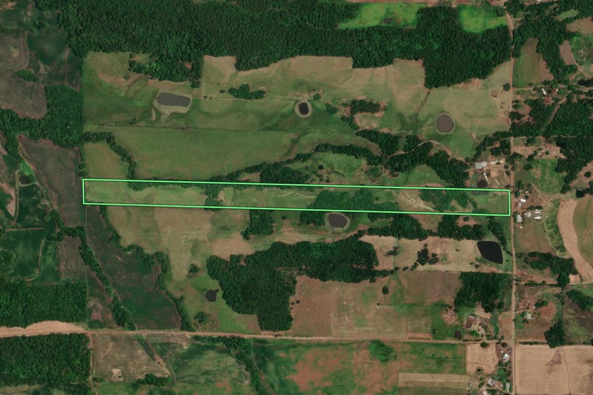 Imagem de satélite do imóvel rural em Campina das Missões (RS), com o contorno declarado no CAR desenhado por cima.
