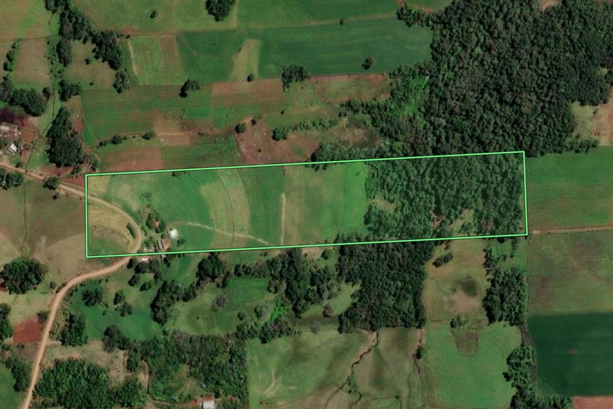 Imagem de satélite do imóvel rural em Campina das Missões (RS), com o contorno declarado no CAR desenhado por cima.