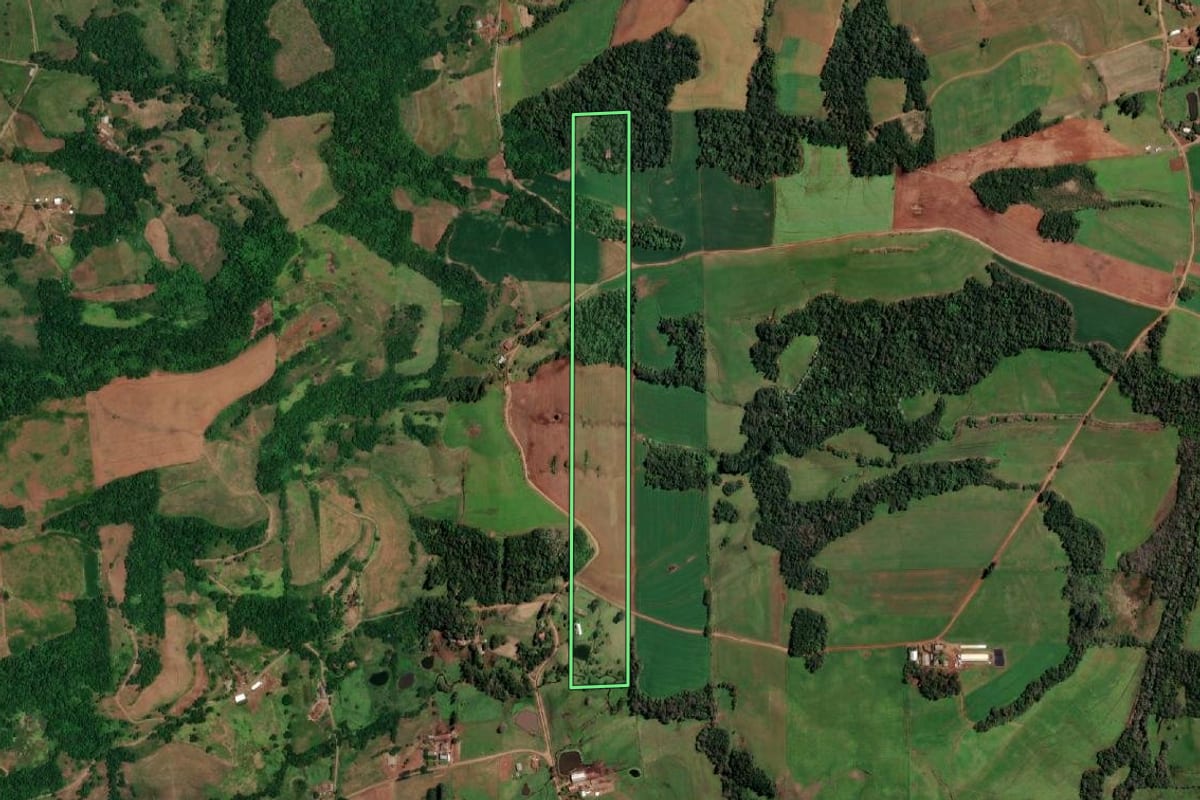 Imagem de satélite do imóvel rural em Campina das Missões (RS), com o contorno declarado no CAR desenhado por cima.