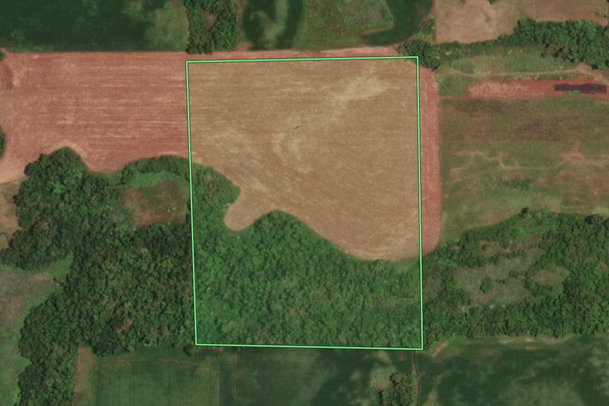 Imagem de satélite do imóvel rural em Campina das Missões (RS), com o contorno declarado no CAR desenhado por cima.