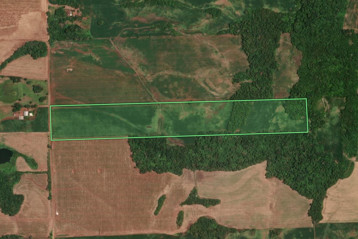 Imagem de satélite do imóvel rural em Campina das Missões (RS), com o contorno declarado no CAR desenhado por cima.